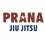 Prana Jiu Jitsu